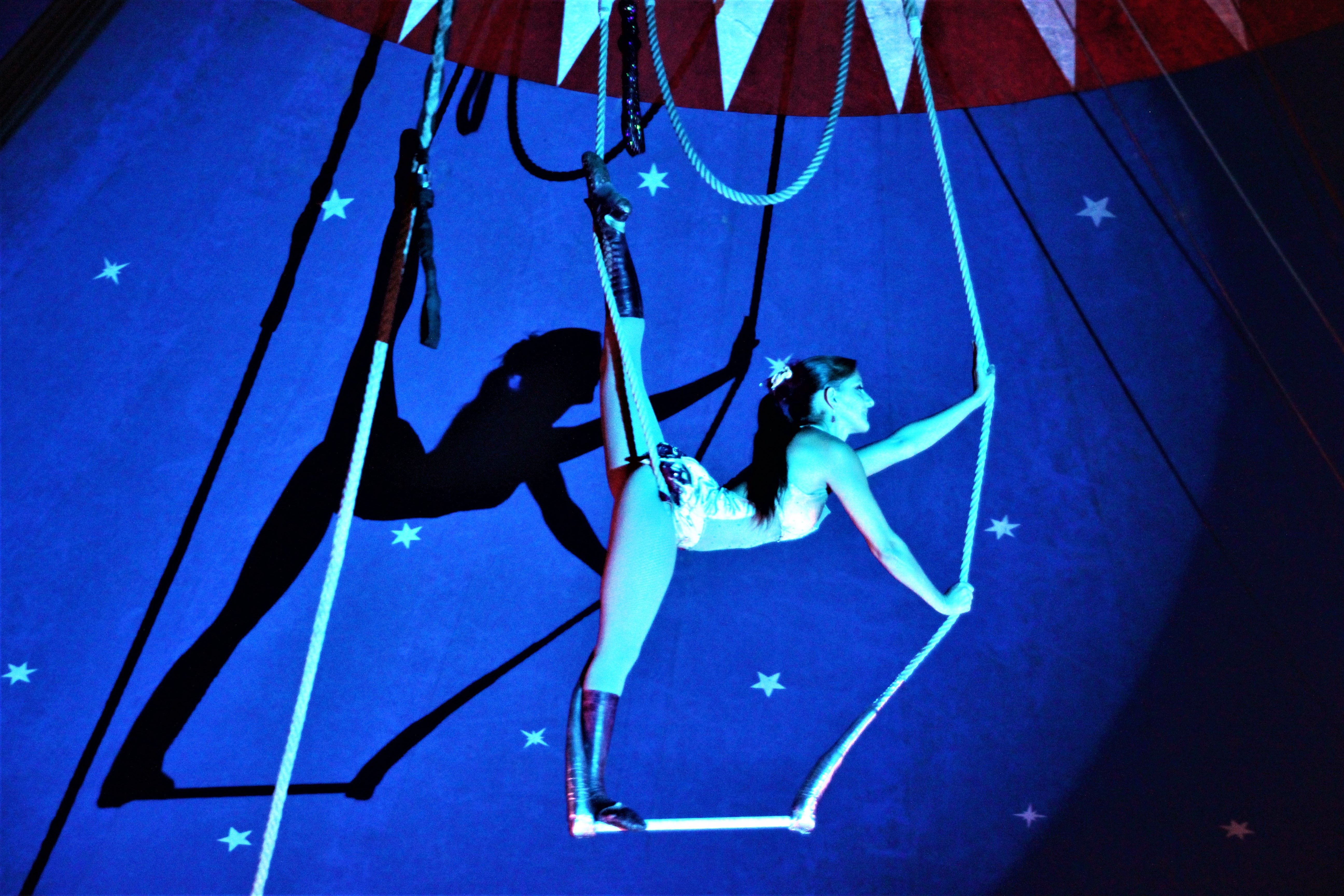 Portrait von  Michele Klein